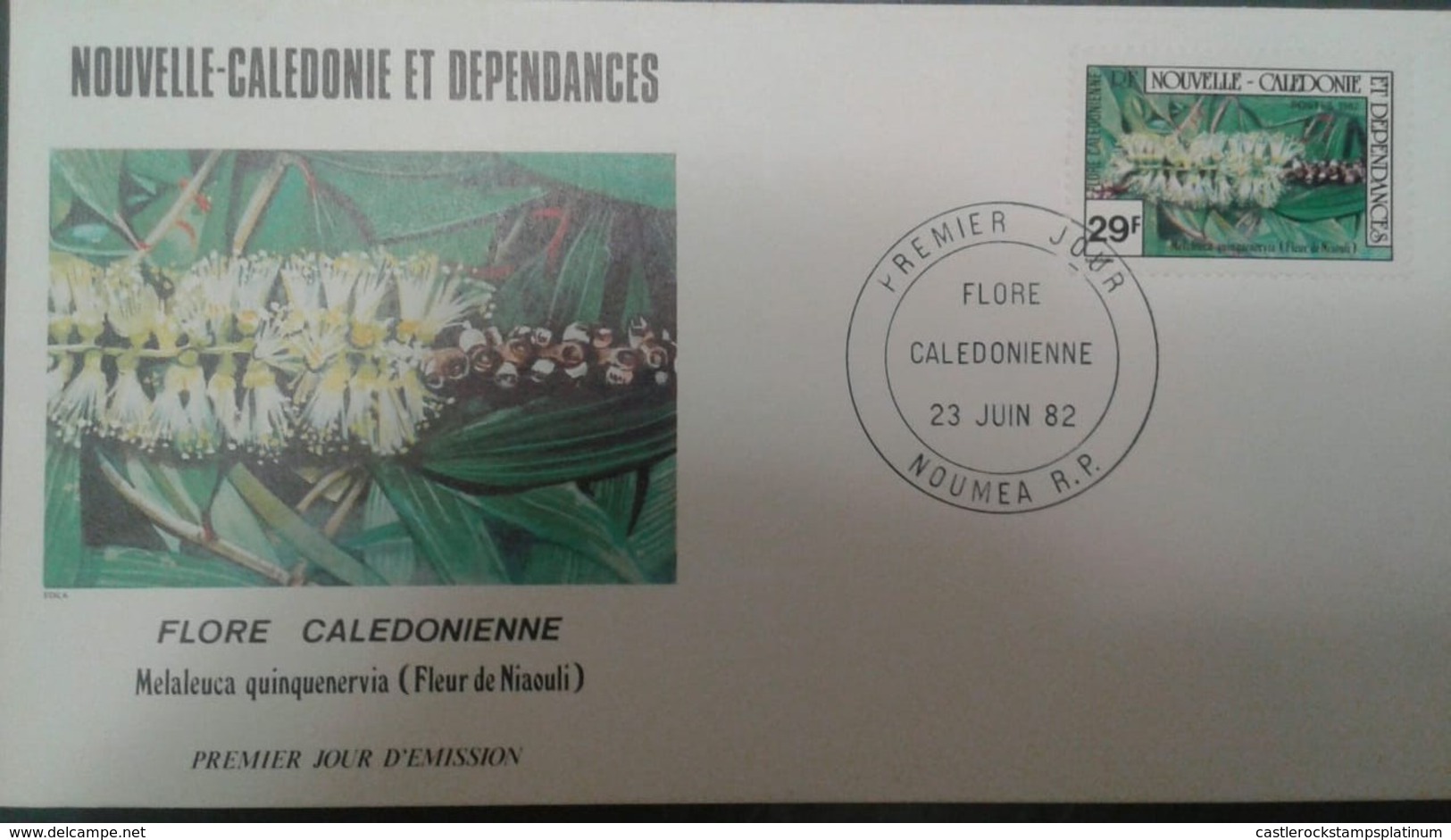 L) 1982 NEW CALEDONIA, FLOWER OF NIAOULI, NATURE, FLORA, CALEDONIAN FLORA, FDC - FDC