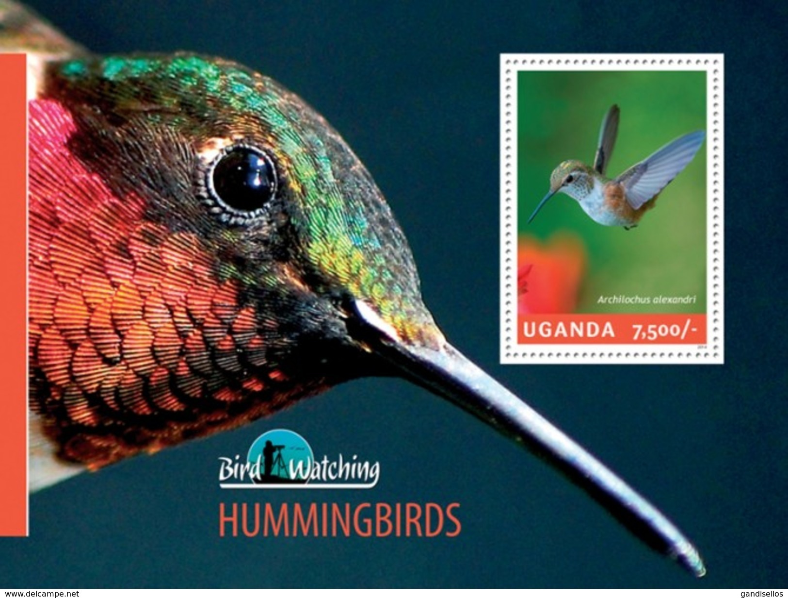 UGANDA 2014 SHEET BIRDS OISEAUX AVES PASSAROS HUMMINGBIRDS COLIBRIS KOLIBRIS COLIBRIES Ugn14307b - Ouganda (1962-...)