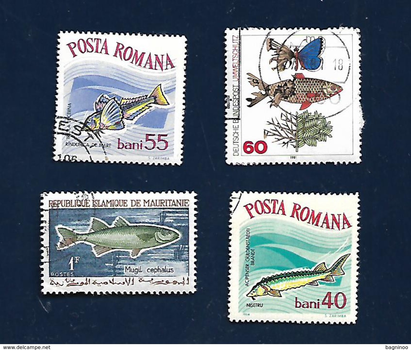 Fishes 4 Stamps - Fische