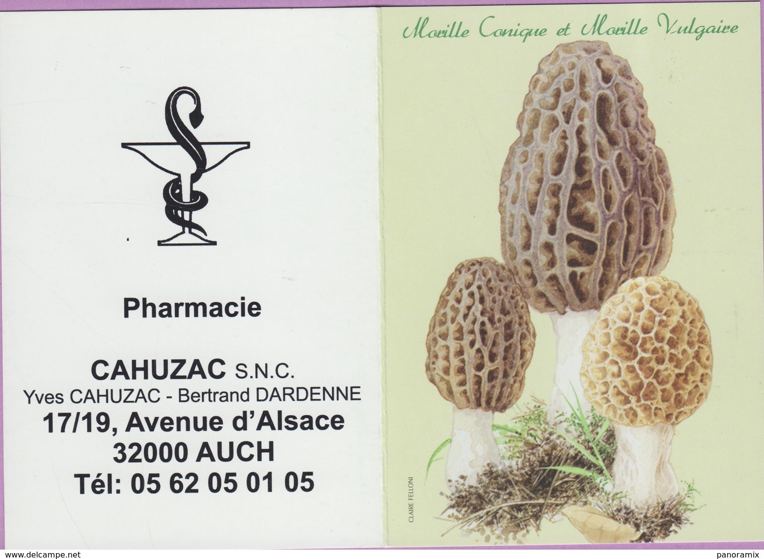 Calendrier °° 2005 - Pharma 32 - Cahuzac - Morille Conique - 8x11 - LUXE - Tamaño Pequeño : 2001-...