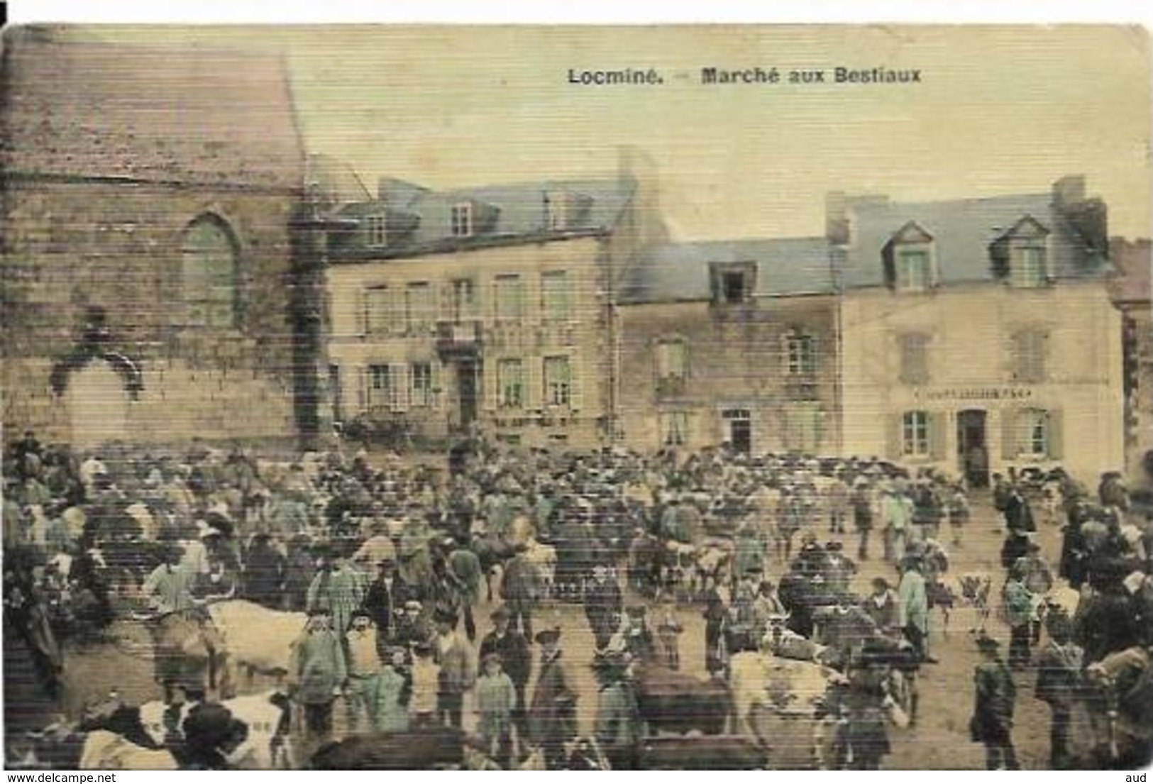 LOCMINE, Marché Aux Bestiaux - Locmine