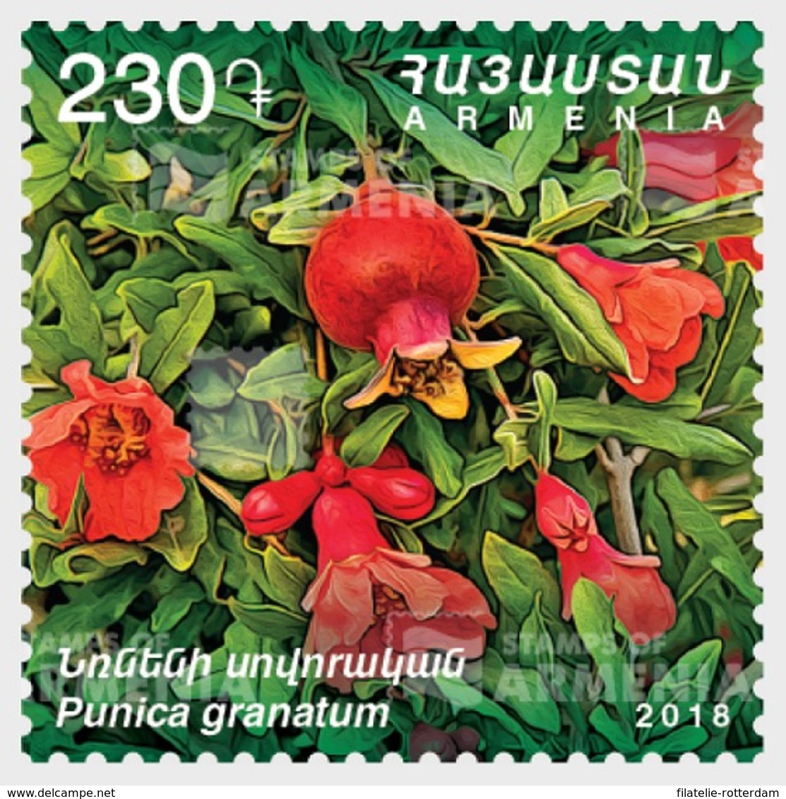 Armenië / Armenia - Postfris / MNH - Bloemen 2018 - Armenië