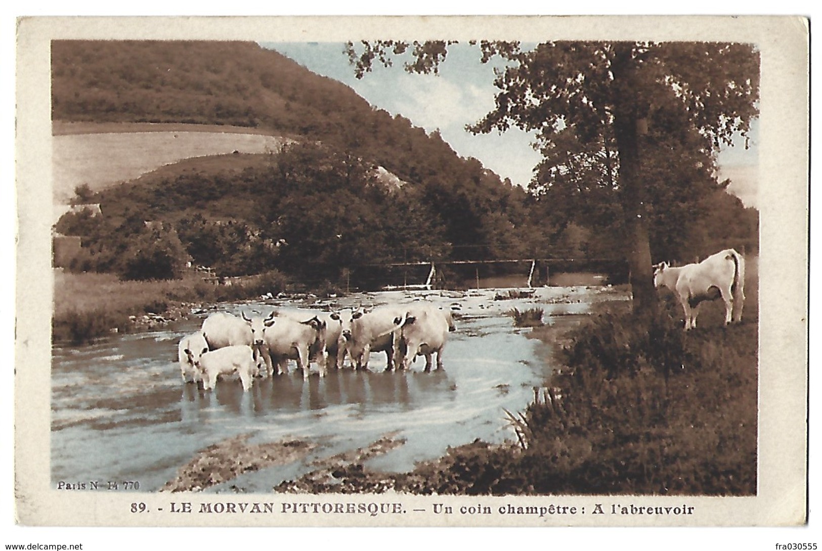 58 - LE MORVAN PITTORESQUE - Un Coin Champêtre : à L'Abreuvoir - Autres & Non Classés