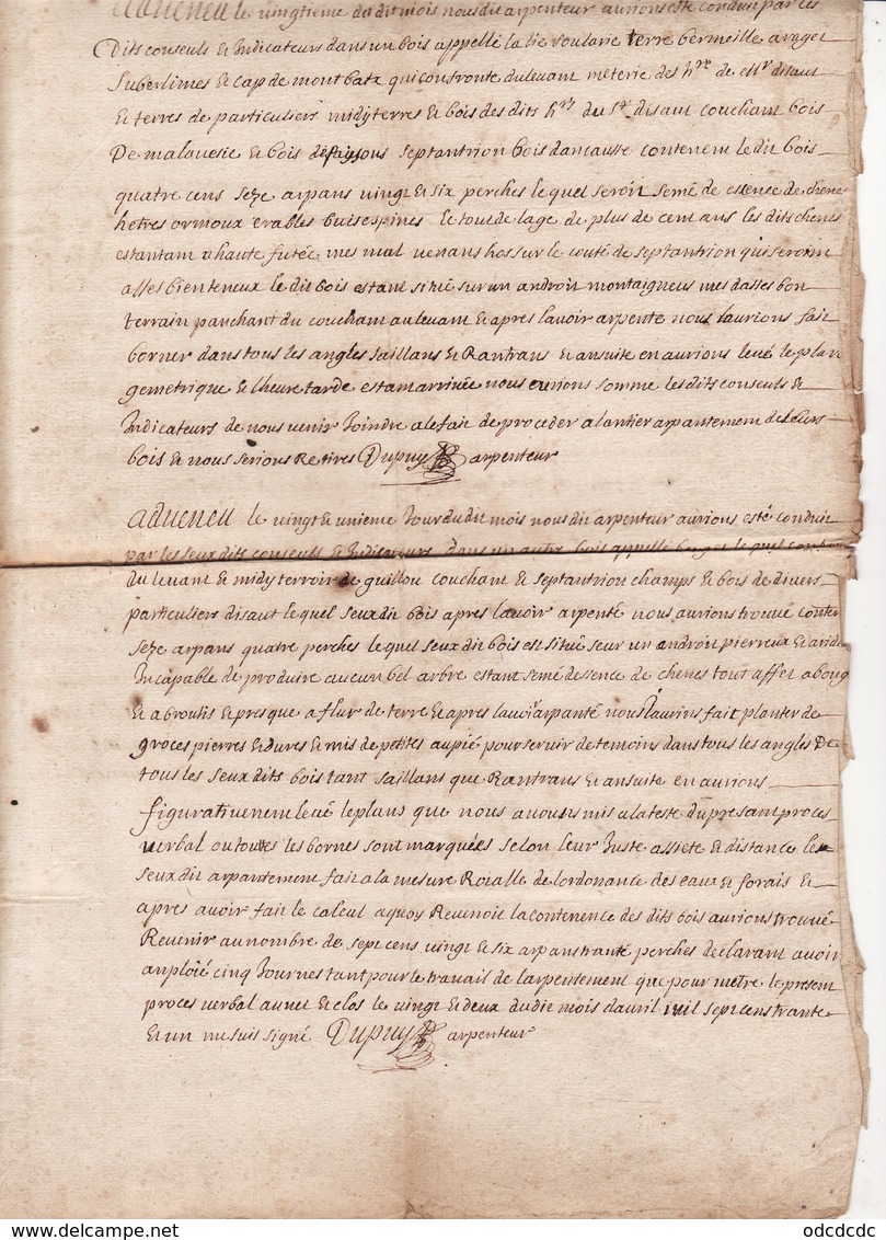 Gen Auch Et Pau 18 Avril 1730 Arpentage Et Plan Figuratif Des Bois Appartenant à La Communauté D'Encausse  4 Scans - Cachets Généralité