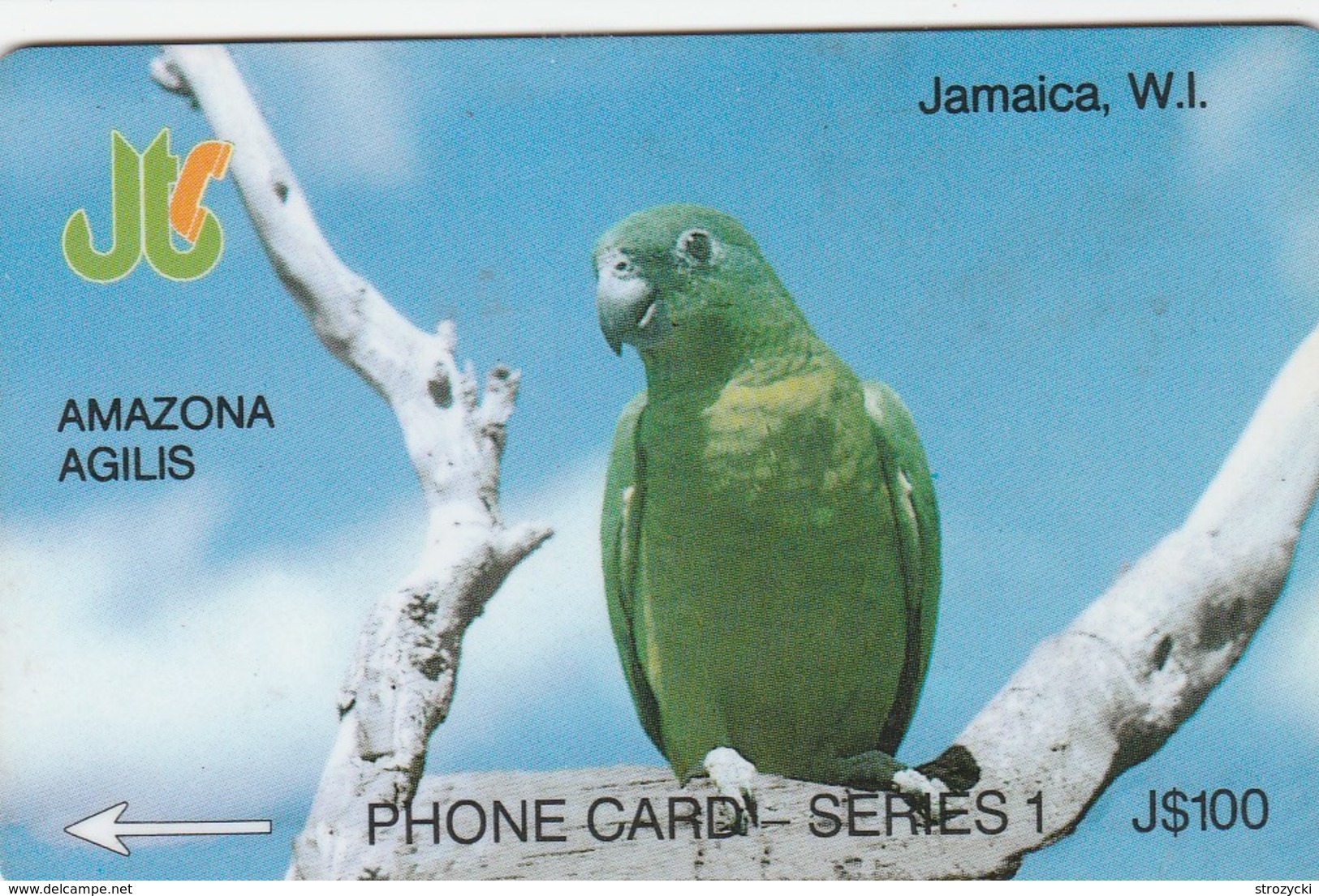 Jamaica - Amazona Agilis - 8JAMA - Jamaica