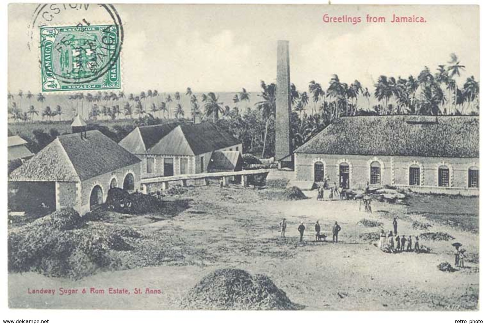 Cpa Jamaïque / Greeting From Jamaica - Landway Sugar &  Rum Estate, St Anns ( Sucre, Rhum, Usine ) - Jamaica