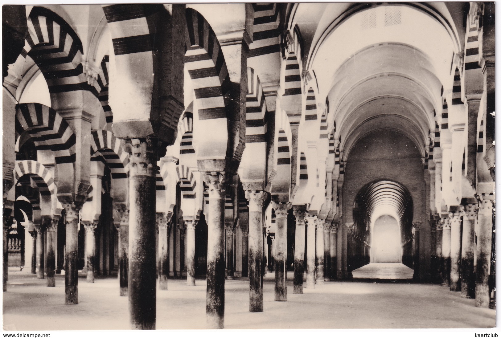 Cordoba - Mezquita. Laberinto De Columnas - La Mosquée. Labyrinthe De Colomnes - Córdoba