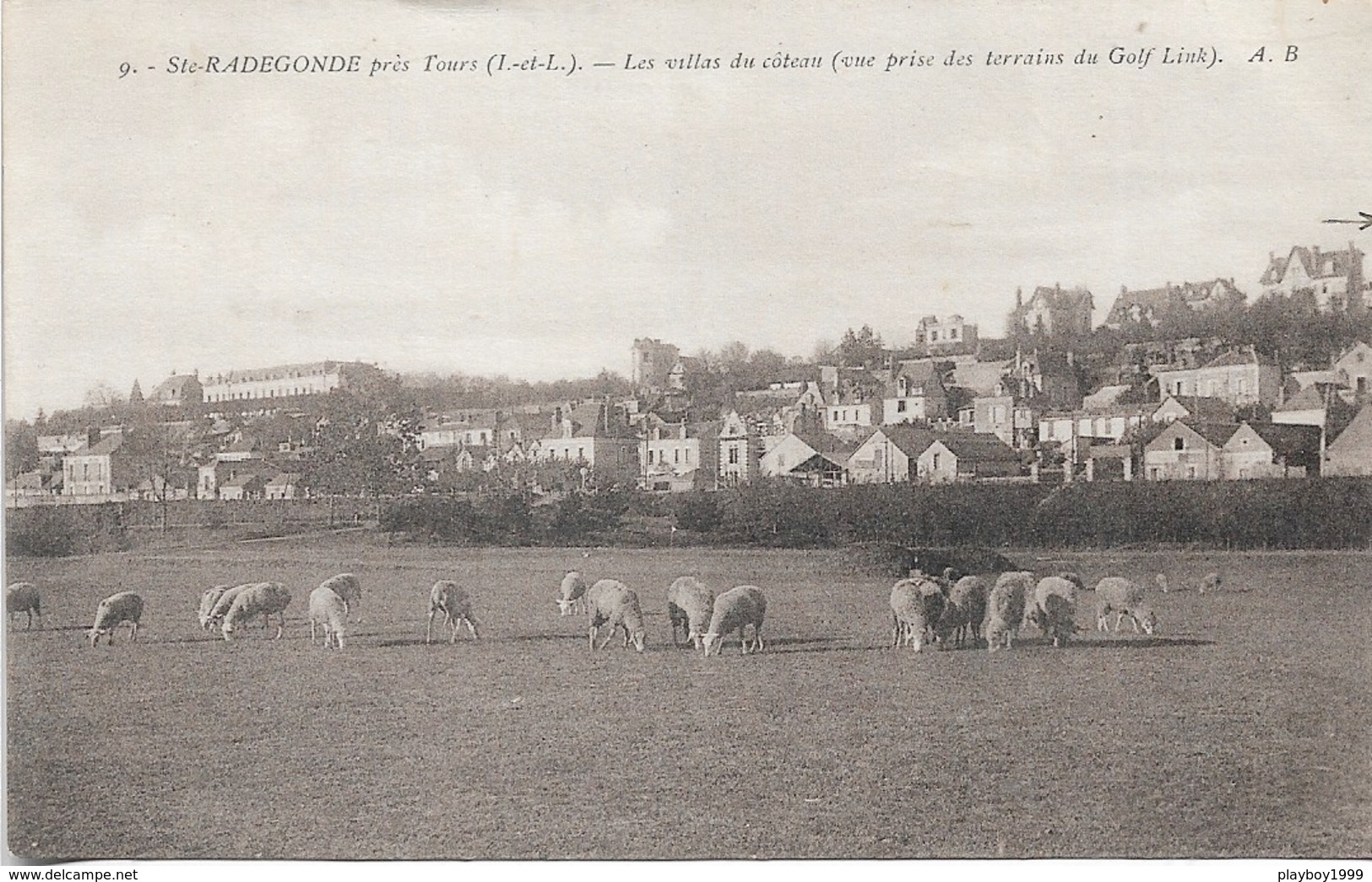 37 - SAINTE RADEGONDE - Les Villas Du Coteau - Vue Prise Des Terrains Du Golf Link - CPA - ÉCRITE - - Autres & Non Classés