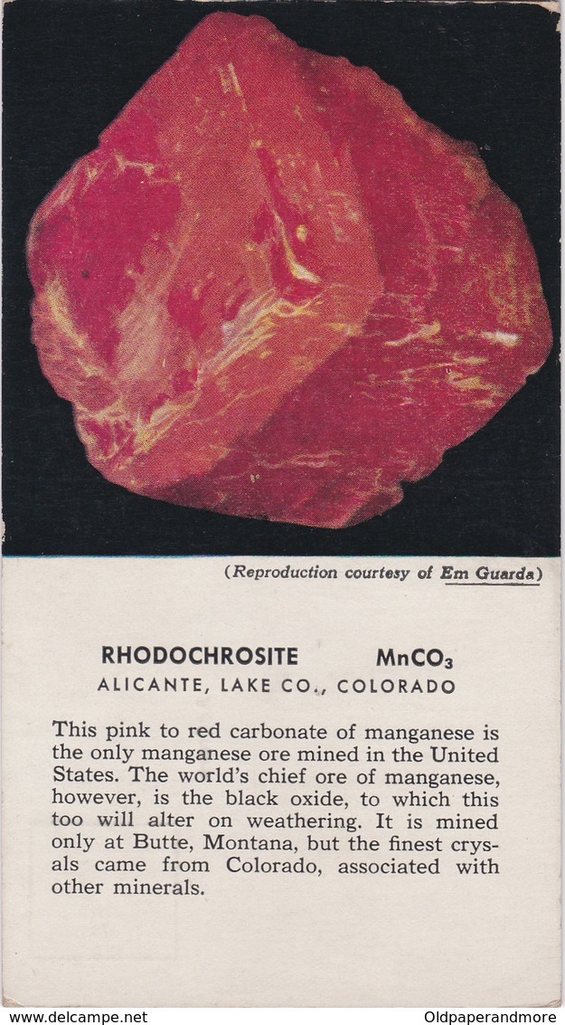 POSTCARD - MINERAL  - THE GEOLOGICAL SOCIETY OF AMERICA -  RHODOCHROSITE - Autres & Non Classés