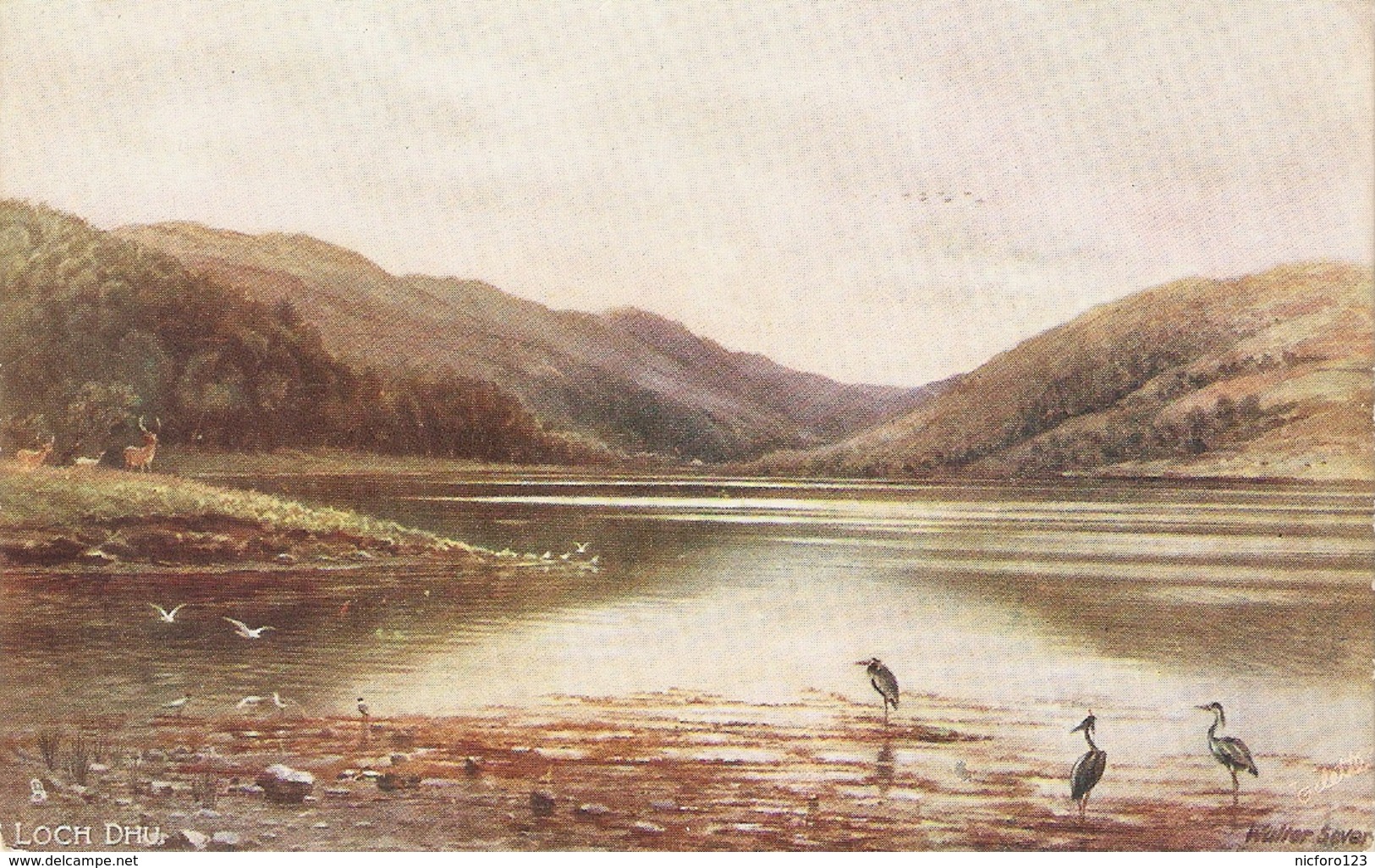 "Elwin A.Penley. Loch Dhu" Tuck Oilette Dcottidh Lohs Series PC # 7167 - Tuck, Raphael