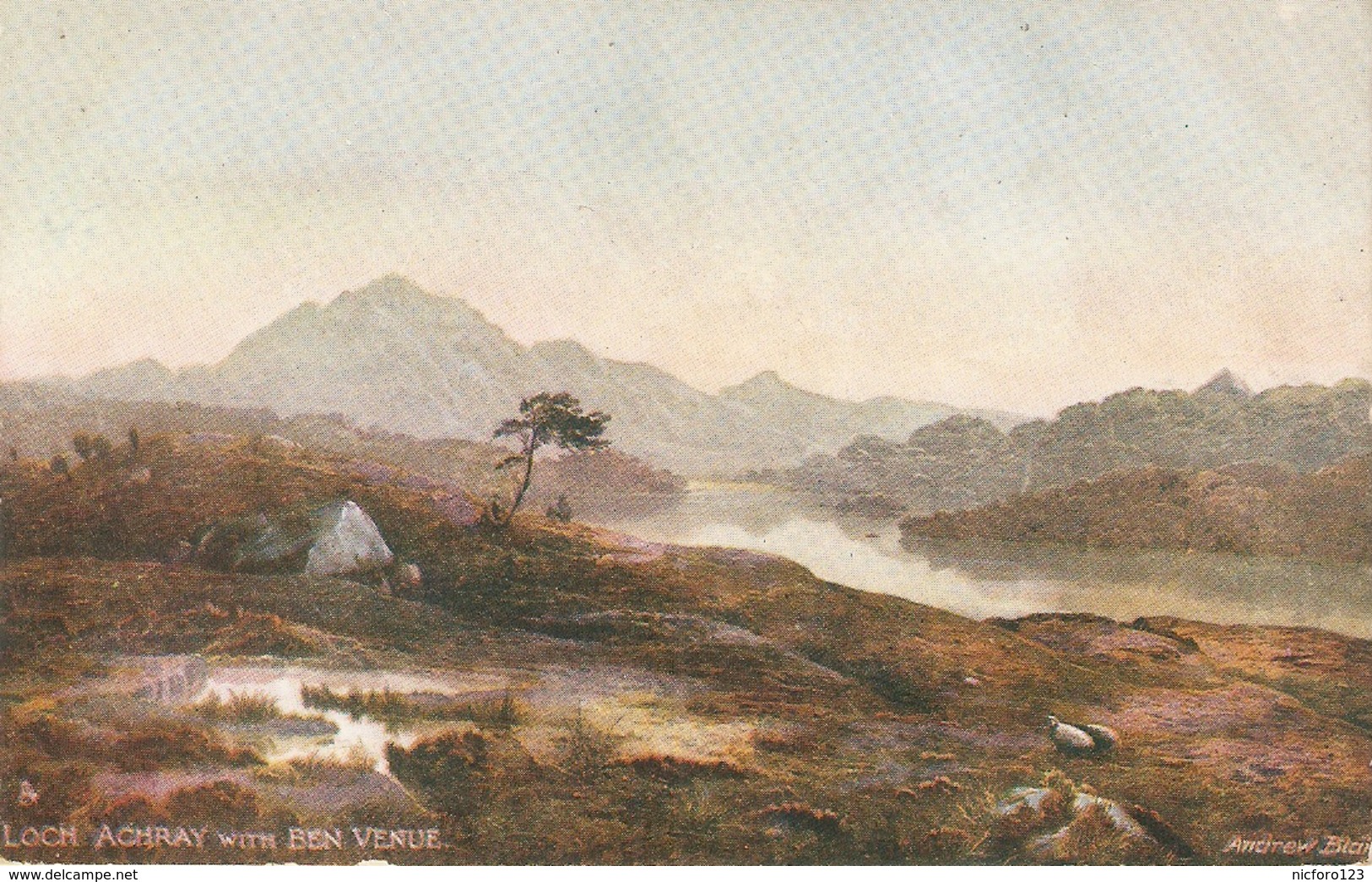 "Andrew Blair. Loch Achray With Ben Venue" Tuck Oilette Dcottidh Lohs Series PC # 7166 - Tuck, Raphael