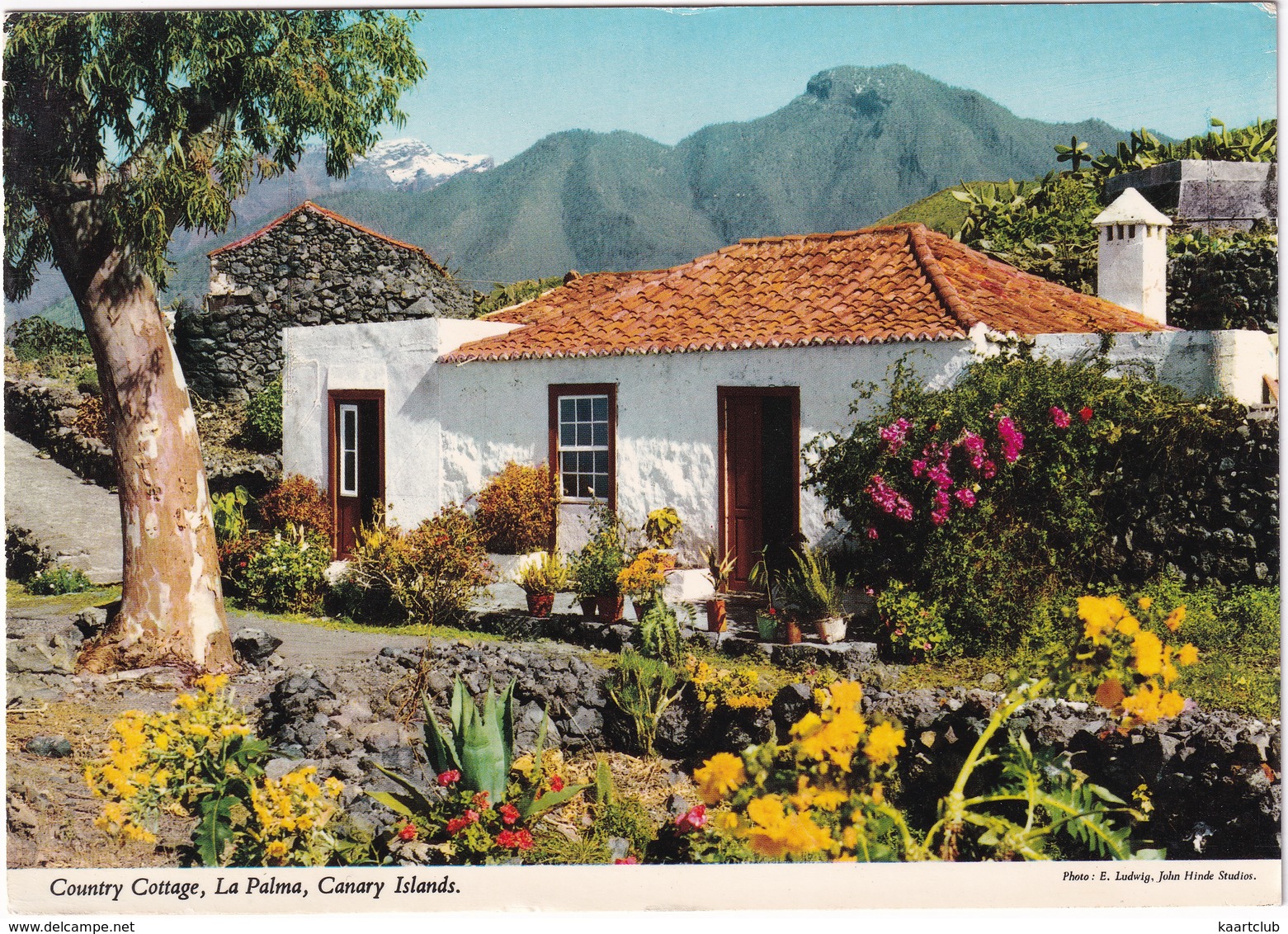 Islas Canarias - La Palma: Country Cottage - Canary Islands  - John Hinde Publisher - La Palma