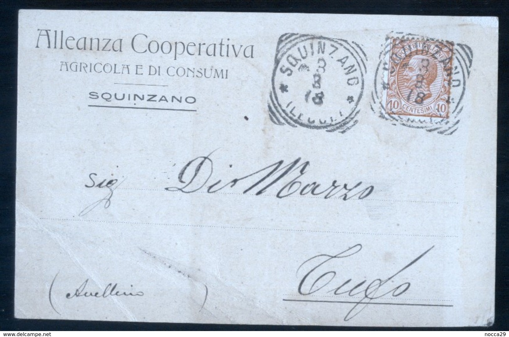 SQUINZANO - LECCE - 1918 - ALLEANZA COOPERATIVA AGRICOLA DI CONSUMI - BOLLO TONDO RIQUADRATO - Vigne