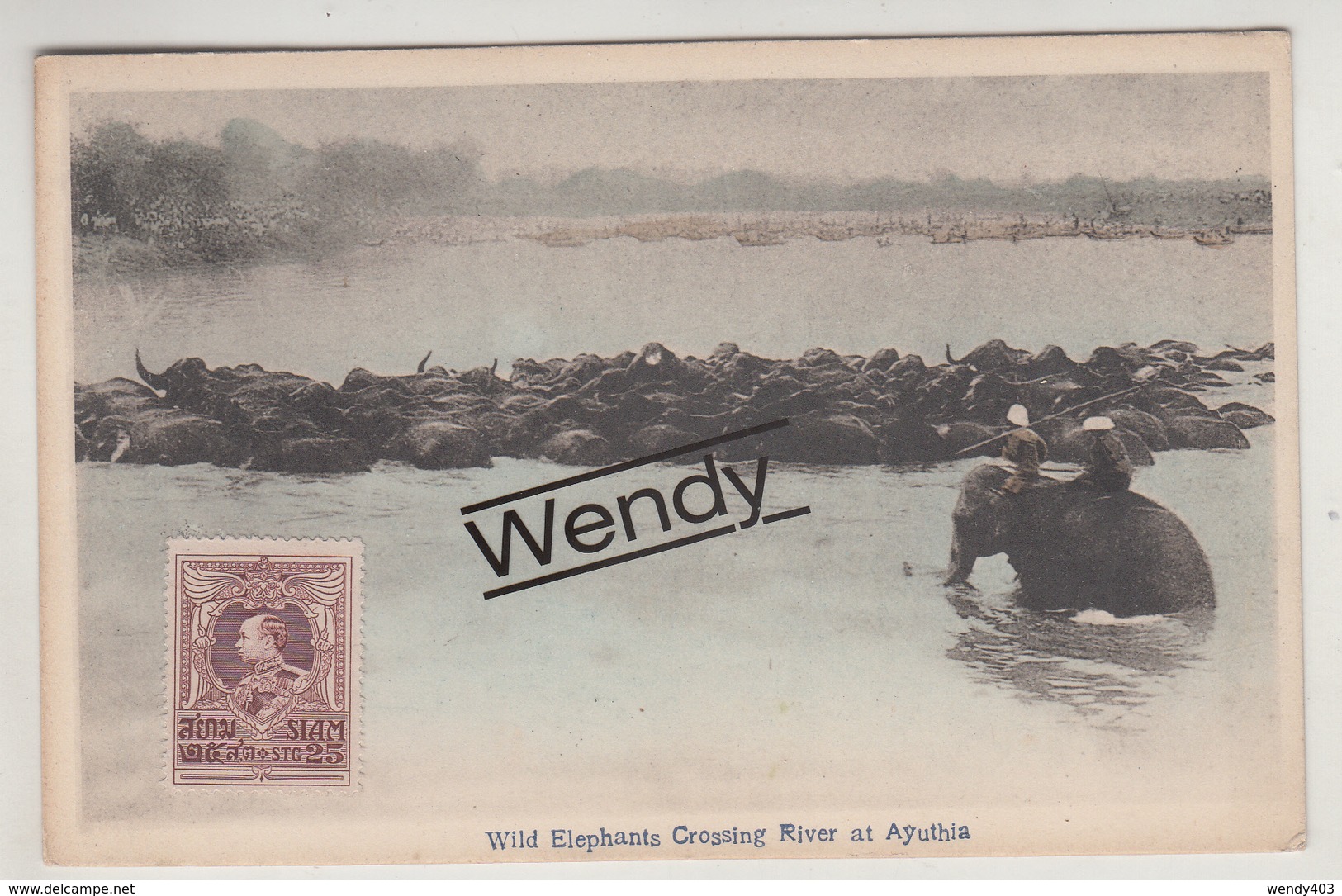 Bangkok (wild Elephants Crossings River At Ayuthia) - Thaïlande