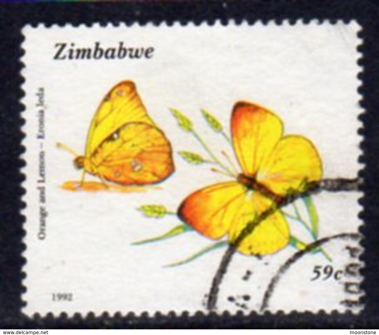 Zimbabwe 1992 Butterflies 59c Value, Used, SG 839 (BA) - Zimbabwe (1980-...)