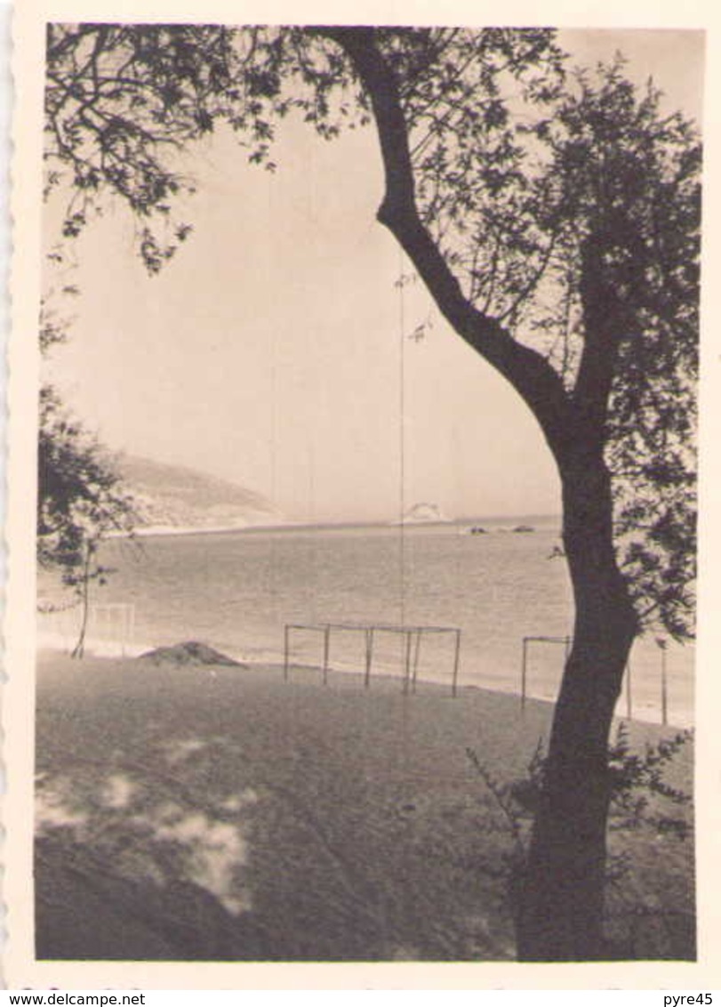 PHOTO D UNE PLAGE NON LOCALISE 8 X 6 CM - Lieux