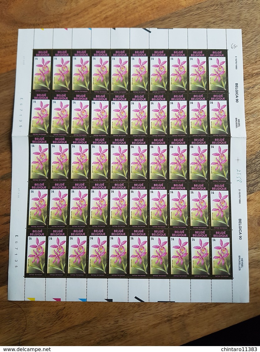 Lot feuilles complètes de timbres Belgique - Année 1990