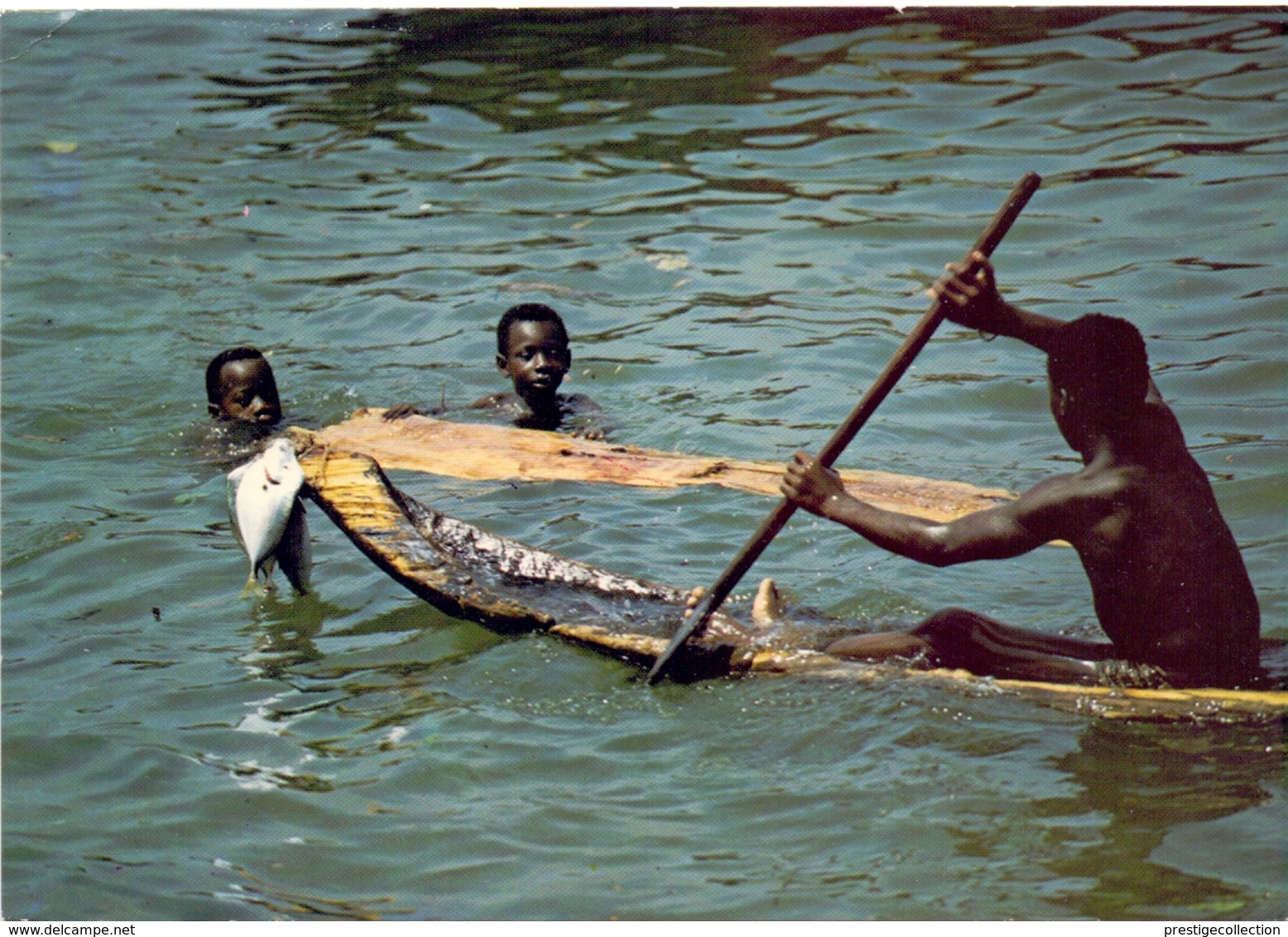 Ivory Coast 1984  POST CARD   (GEN190061) - Costa D'Avorio