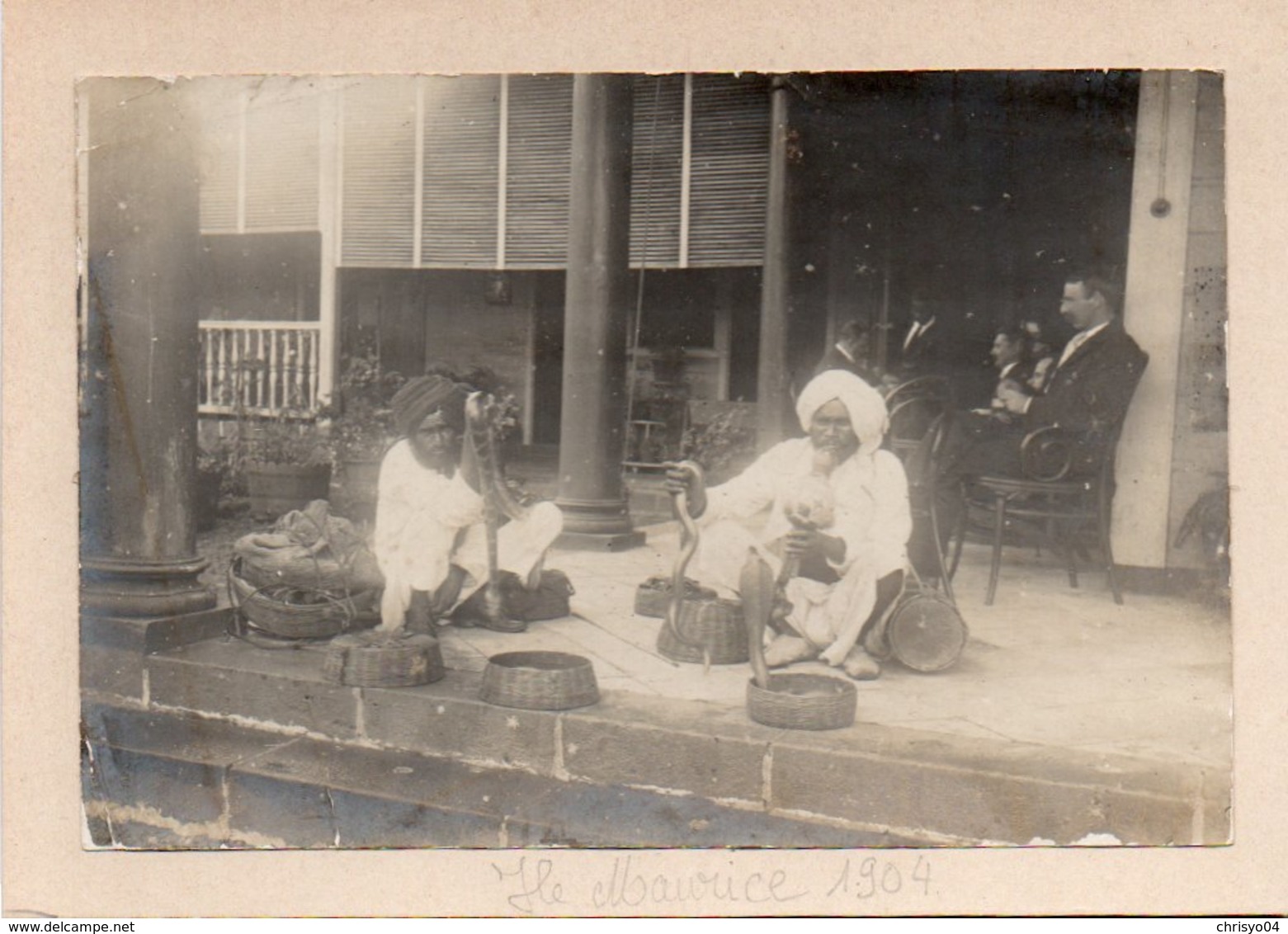 82Ve  Grande Photo Cartonnée Ile Maurice En 1904 Charmeurs De Serpents Indiens - Mauritius