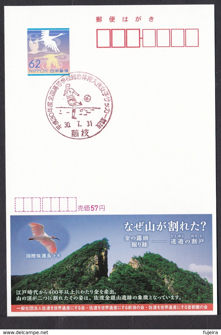 Japan Commemorative Postmark, National Sports Festival Women's Soccer (jca677) - Andere & Zonder Classificatie