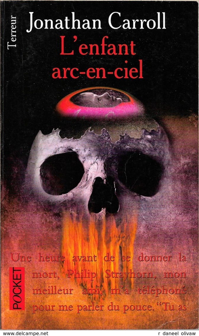 Pocket Terreur 9224 - CARROLL, Jonathan - L'Enfant Arc-en-ciel (BE) - Presses Pocket