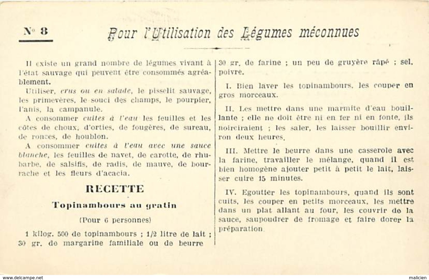 -ref-A982- Recettes - Federation Française De L Enseignement Menager - N°8 - Legumes Meconnus - Ecole - Ecoles - - Recettes (cuisine)