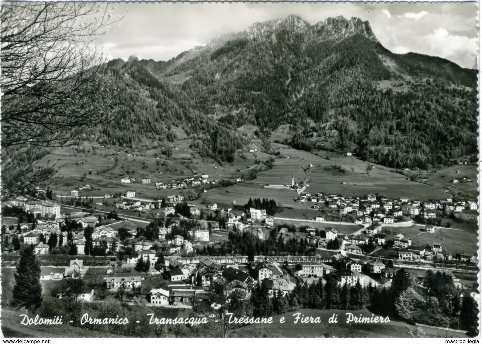 ORMANICO TRANSACQUA TRESSANE FIERA DI PRIMIERO    TRENTO  Dolomiti - Trento