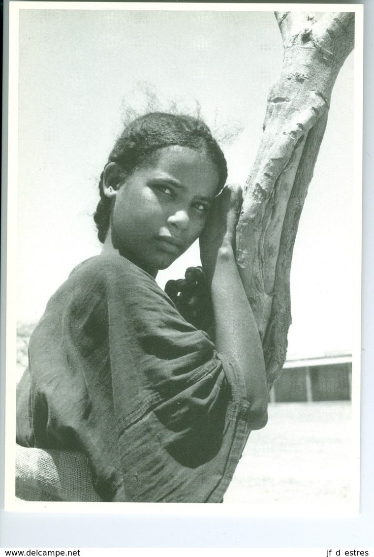 CP Niger Jeune Fille Touareg à Tchirozérine Vers 1980 Photo Vivant Univers PP. Blancs - Niger