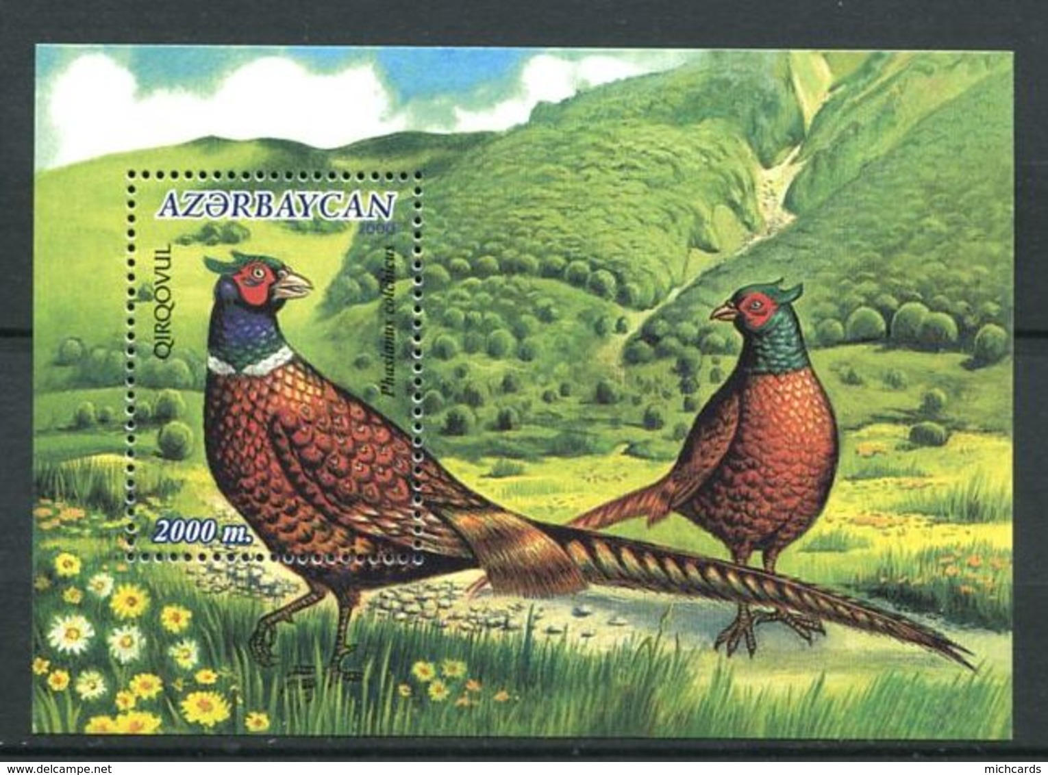 242 AZERBAIDJAN 2000 - Yvert BF 48 - Oiseau Faisan - Neuf ** (MNH) Sans Trace De Charniere - Azerbaïdjan