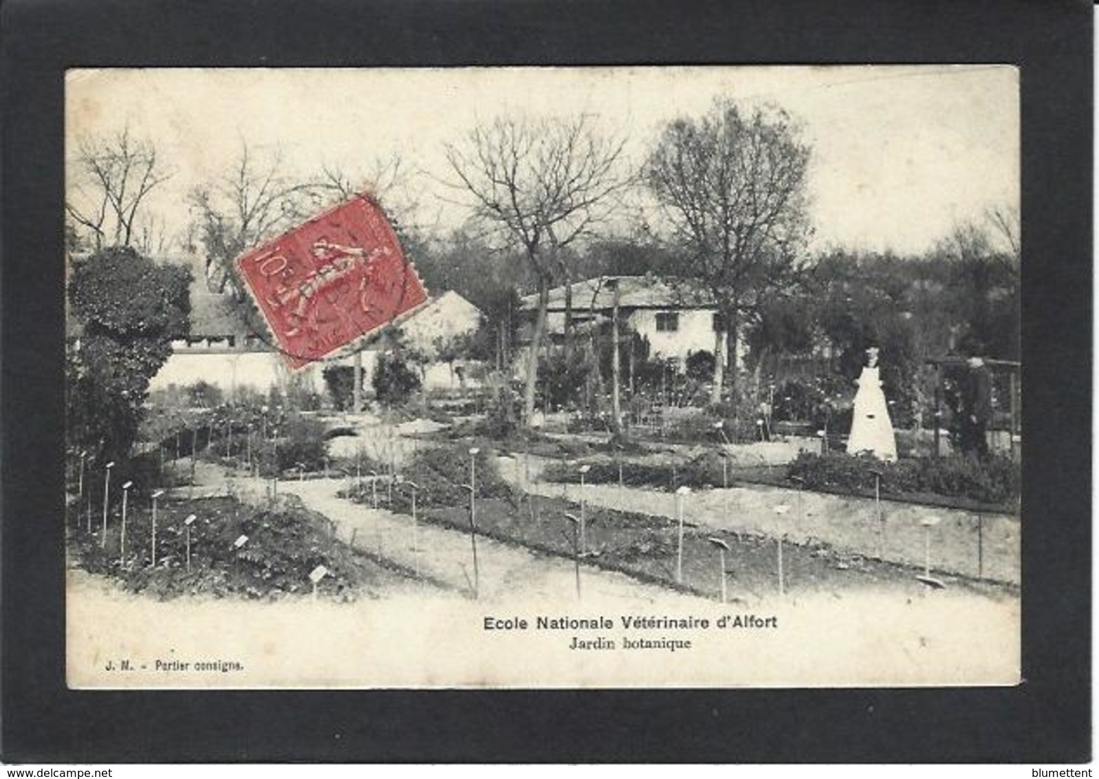 CPA Val De Marne 94 Maisons Alfort école Vétérinaire Vétérinary Circulé - Maisons Alfort