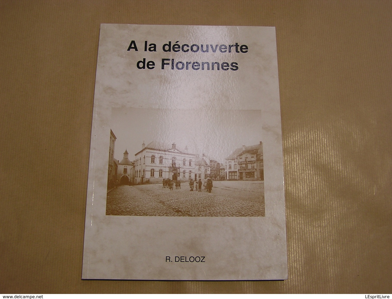 A LA DECOUVERTE DE FLORENNES Régionalisme St Aubin Hanzinne Morialmé Hemptinne Corenne Morville Thy Flavion Rosée SNCV - België