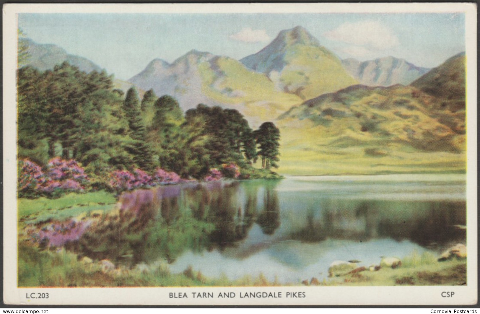 Blea Tarn And Langdale Pikes, Westmorland, C.1930s - Chadwick Postcard - Other & Unclassified