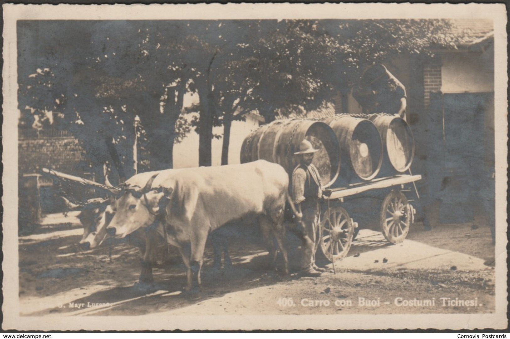 Carro Con Buoi, Costumi Ticinesi, 1926 - Mayr Foto Cartolina - Other & Unclassified