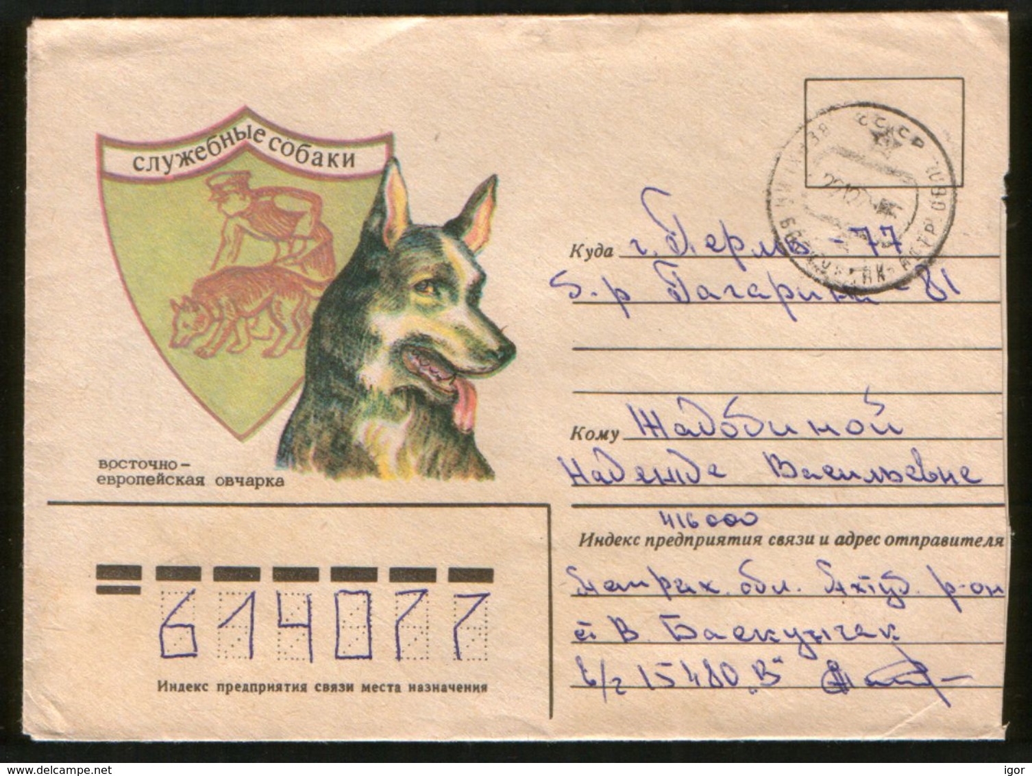 Russia USSR 1979 Cover Working Dogs; East European Shepherd, Military Post - Honden