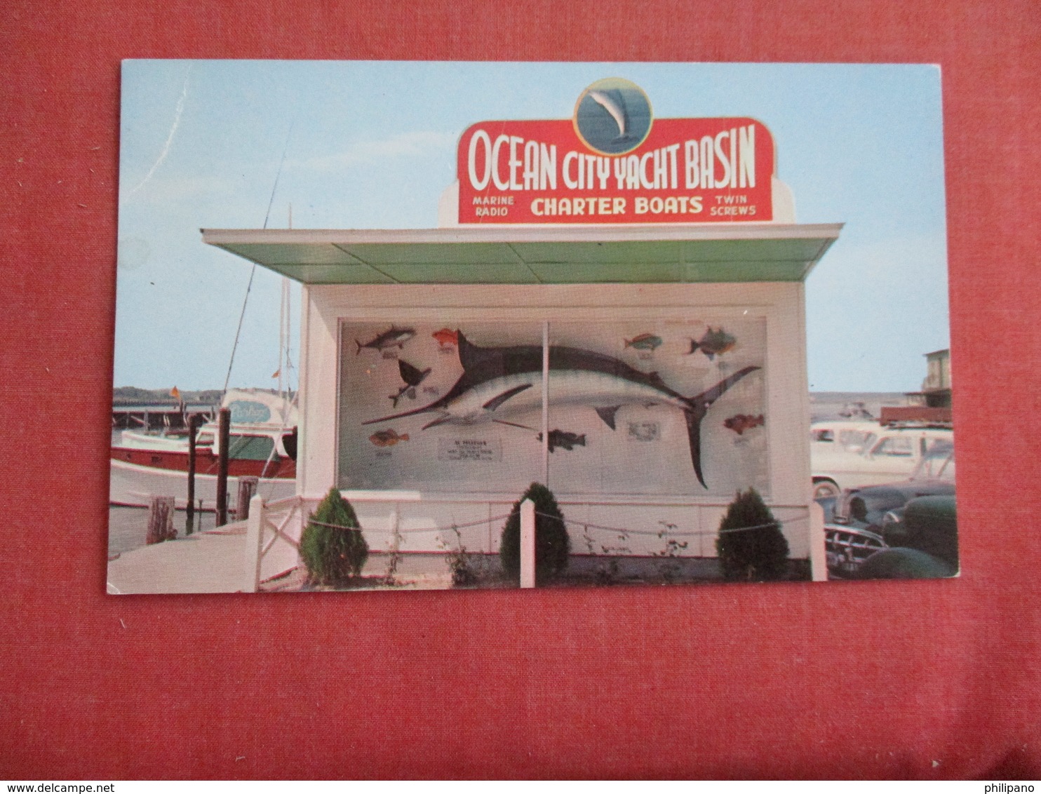 > Yacht Basin Display  Fish Display Ocean City Maryland   Ref 3124 - Ocean City