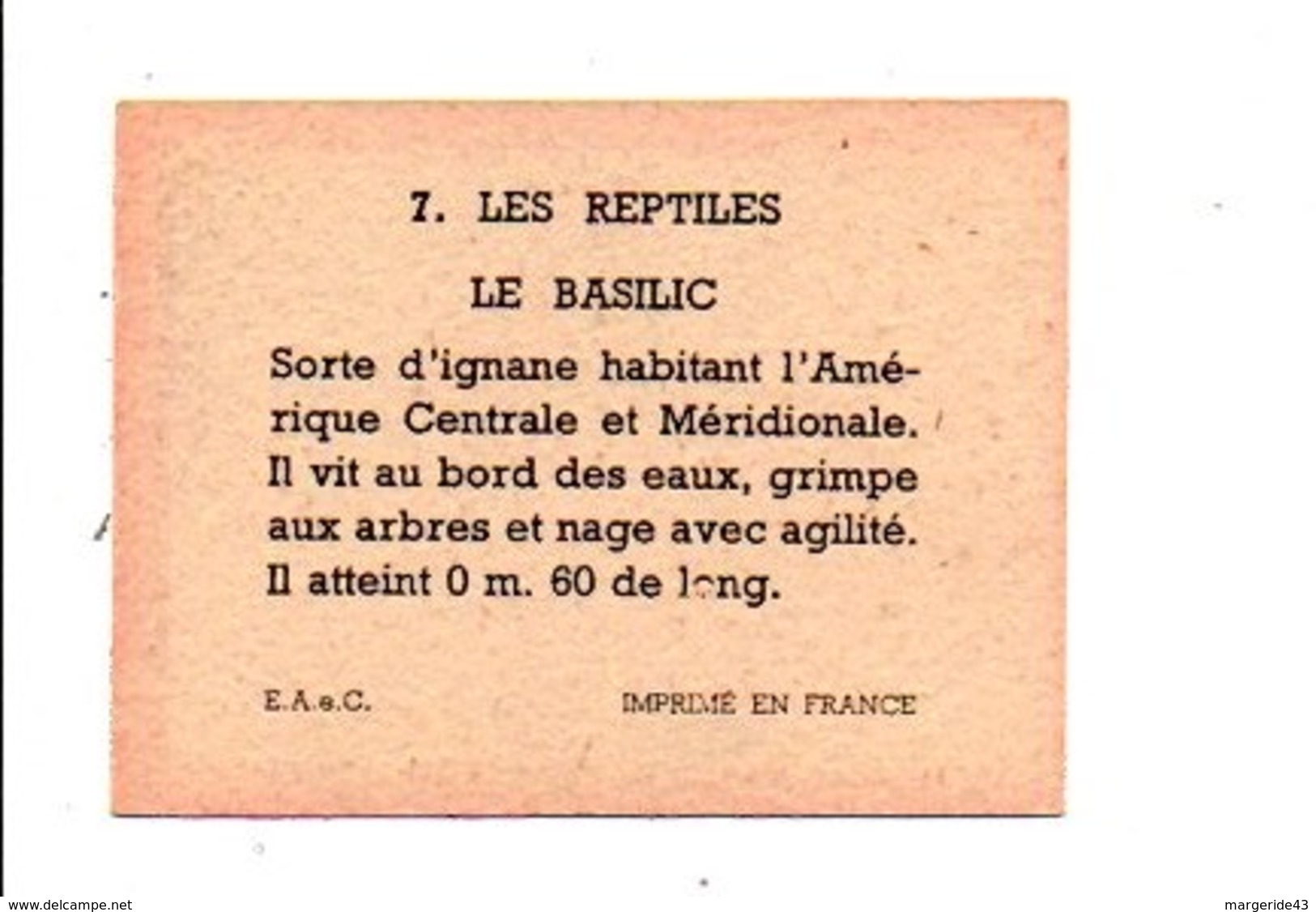 CHROMOS BON POINT - LES REPTILES - LE BASILIC - Otros & Sin Clasificación