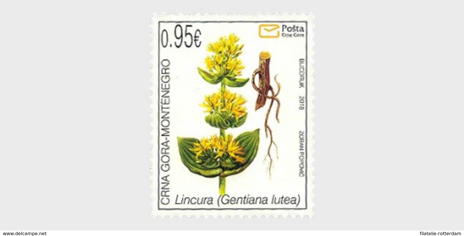 Montenegro - Postfris / MNH - Flora 2018 - Montenegro