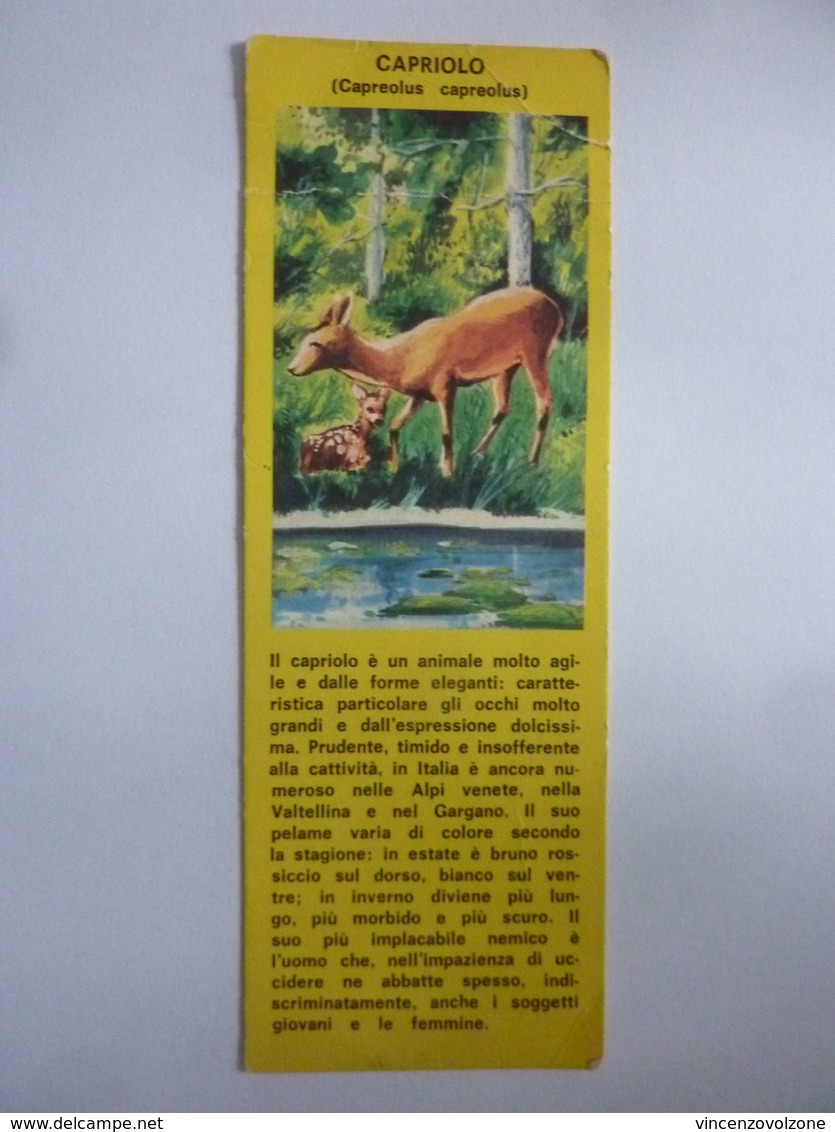 Segnalibro "ENTE NAZIONALE PER LA PROTEZIONE DEGLI ANIMALI - CAPRIOLO" Anni '50 - Bookmarks