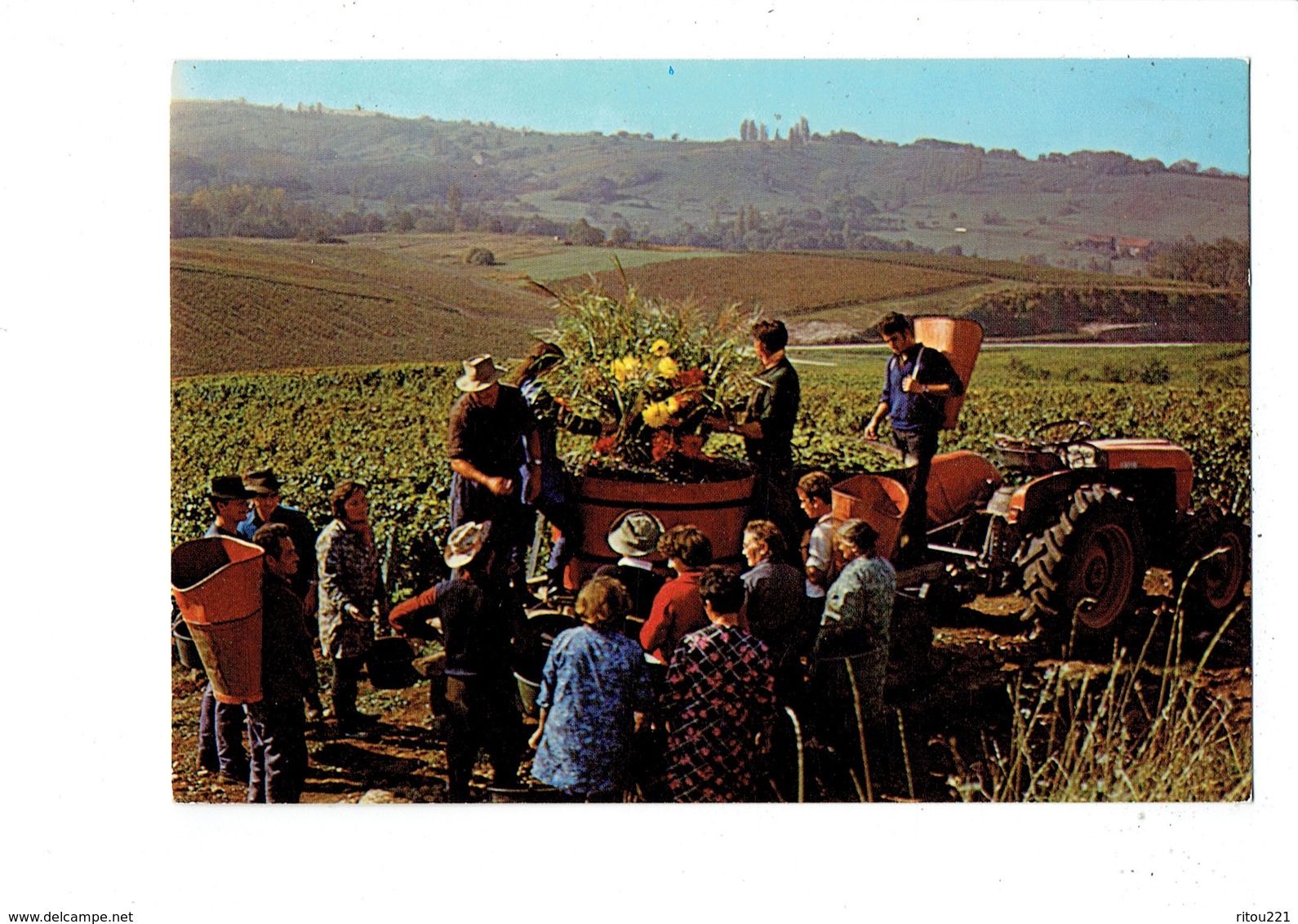 Cpm 39 ARBOIS - Vendangeurs Tracteur VIGNE DOMAINE DE SORBIEF Henri Maire - Bouquet Des Vendanges - - Arbois