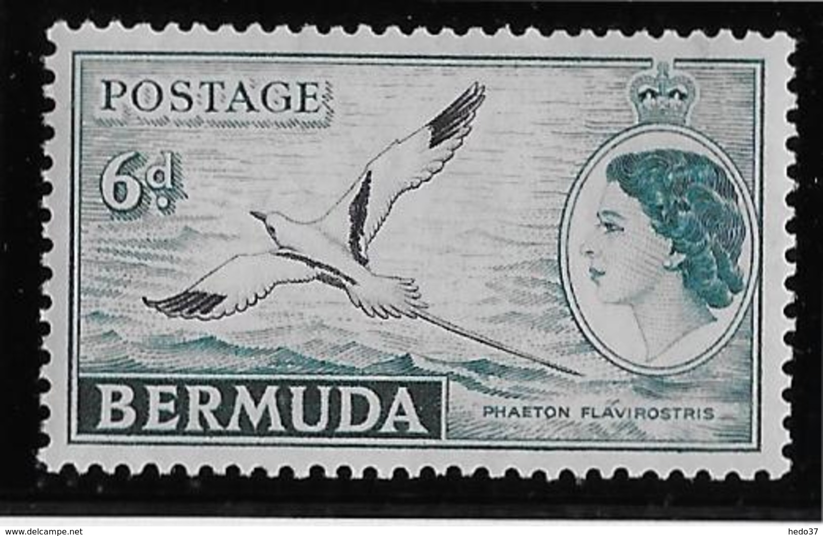 Bermudes N°114 - Oiseaux - Neuf ** Sans Charnière - TB - Bermudas