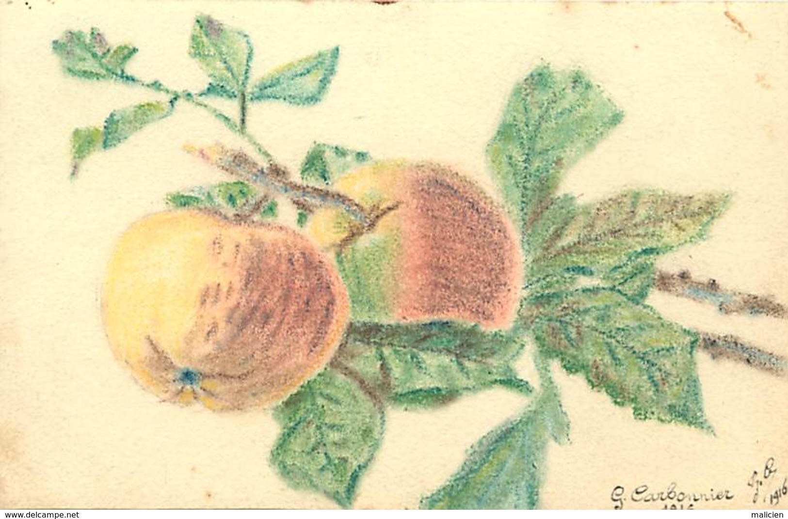 -ref-A958- Illustrateurs - Illustateur G. Carbonnier -1916 - Dessin Sur Papier Dessin - Pommes - Fruits - Guerre 1914-18 - Autres & Non Classés