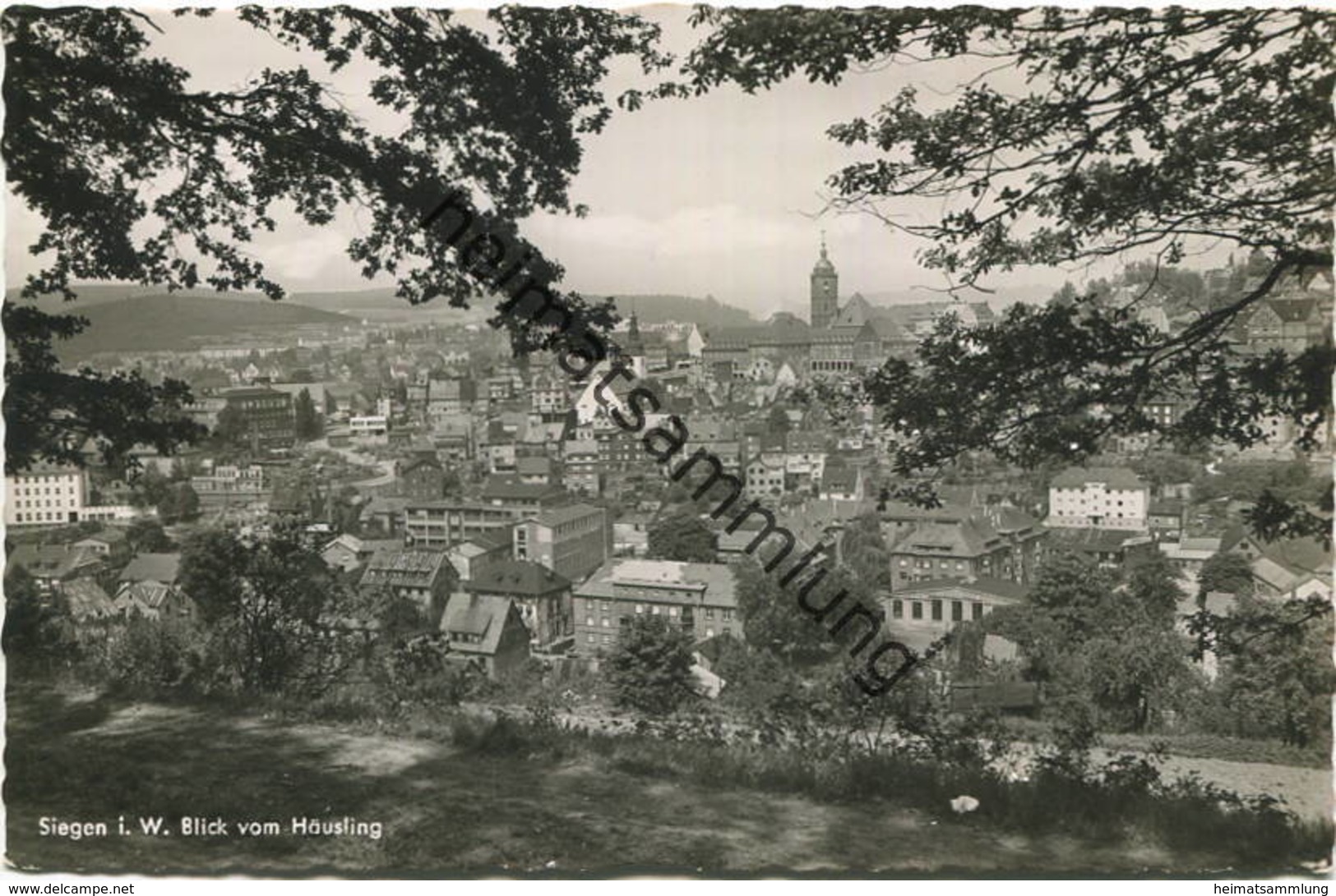 Siegen In Westfalen - Blick Vom Häusling - Foto-AK - Verlag Kurt Betlach Siegen - Siegen