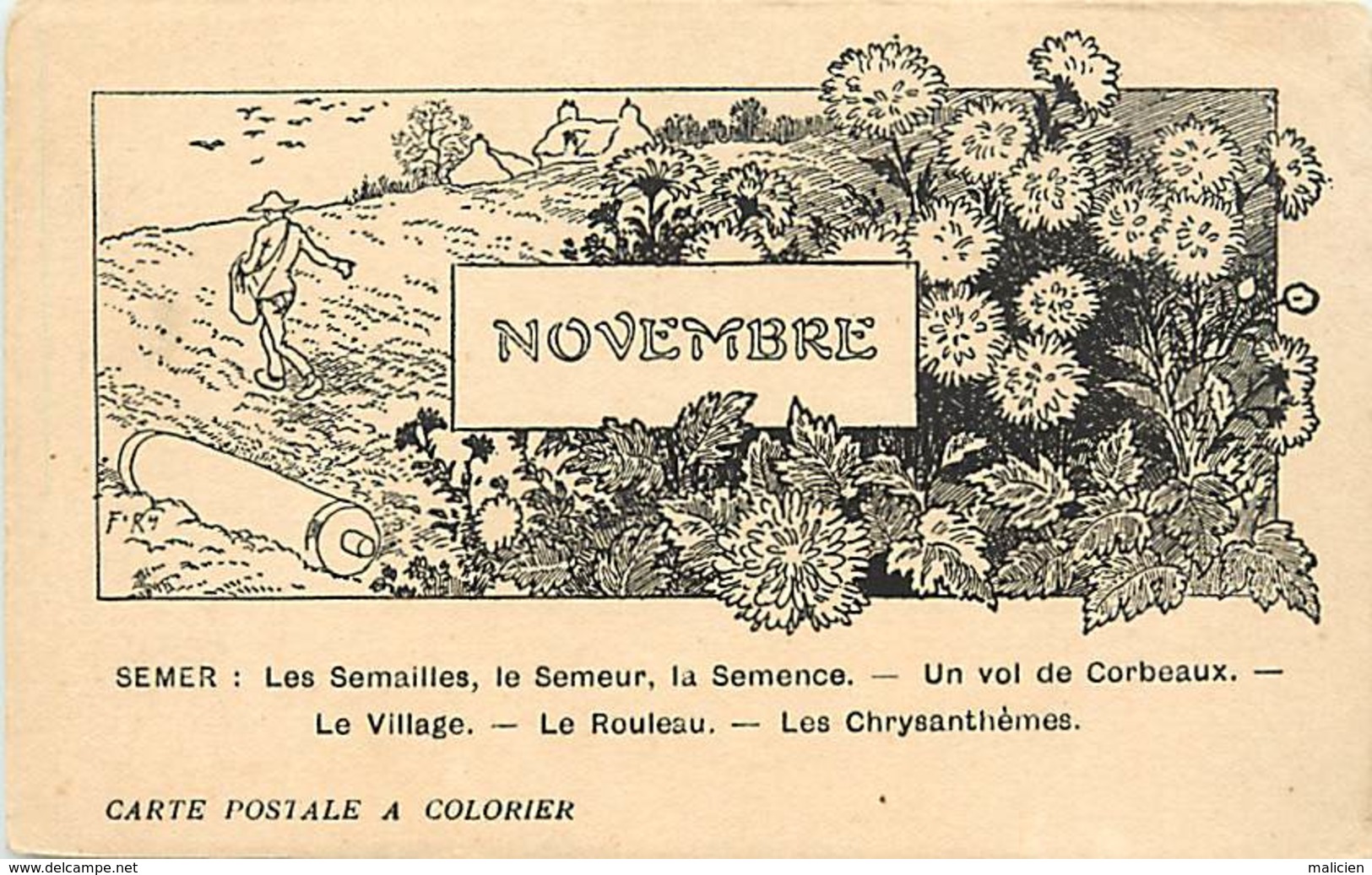 -ref-A953- Agriculture - Mois De L Année - Novembre - Semer - Semailles - Semeur - Semence .. - Carte Bon Etat - - Cultures