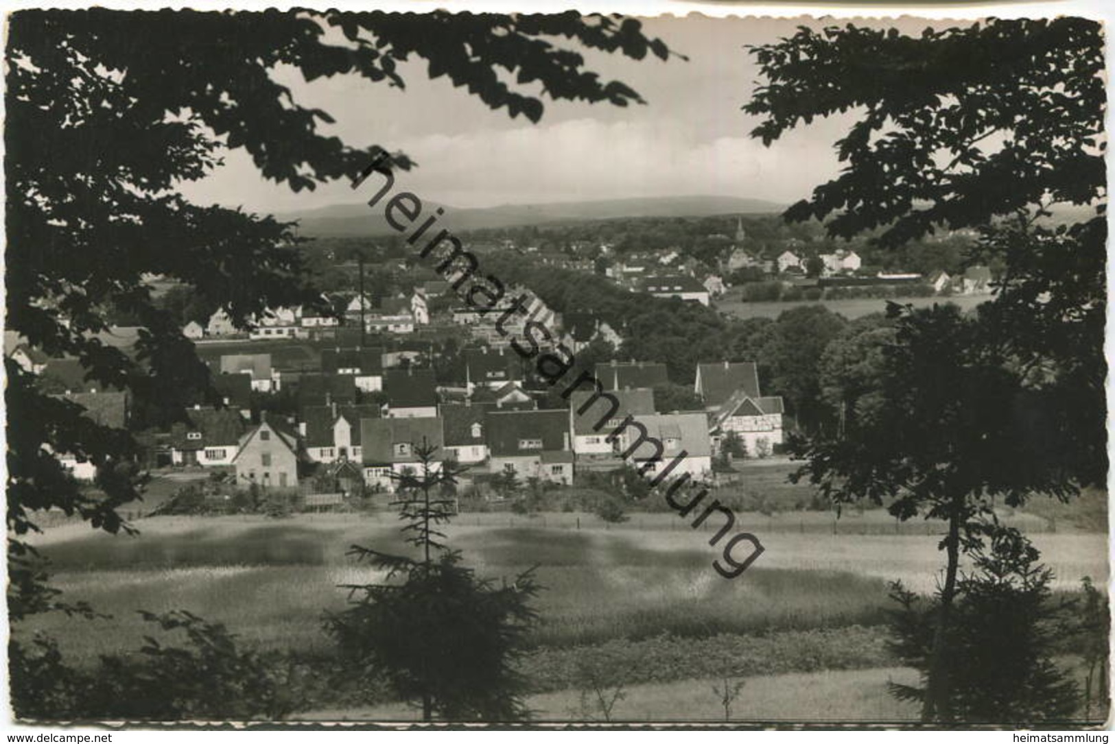 Arolsen - Gesamtansicht - Bad Arolsen