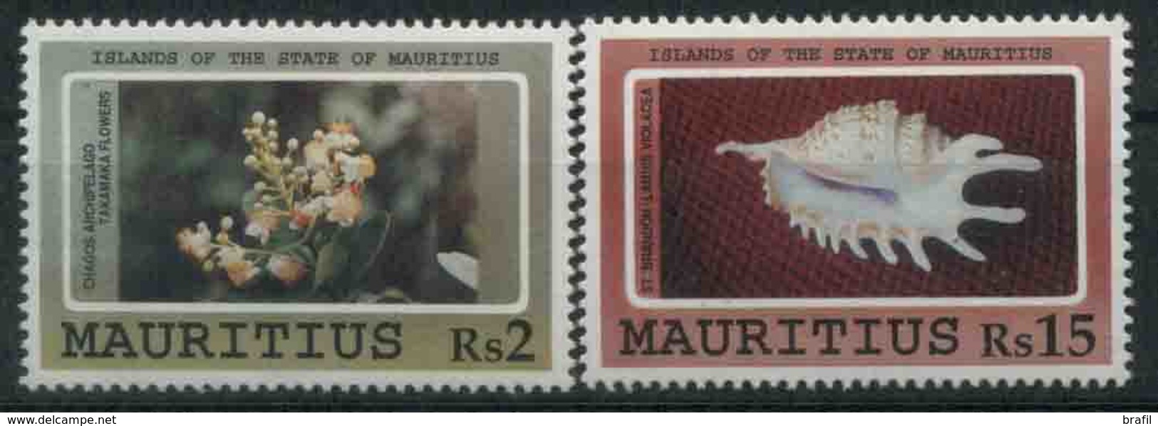 1991 Mauritius, Fiori E Conchiglie, Serie Non Completa Nuova (**) - Mauritius (1968-...)