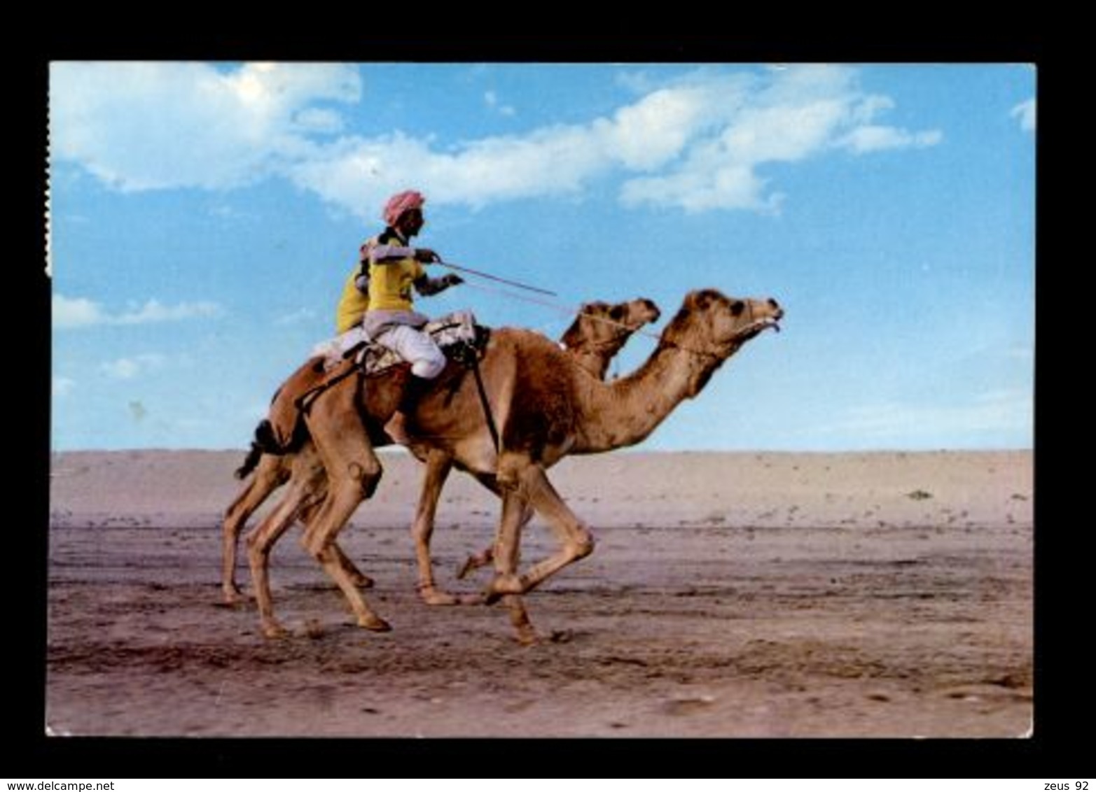 C280 KUWAIT - CAMEL RACE - Kuwait