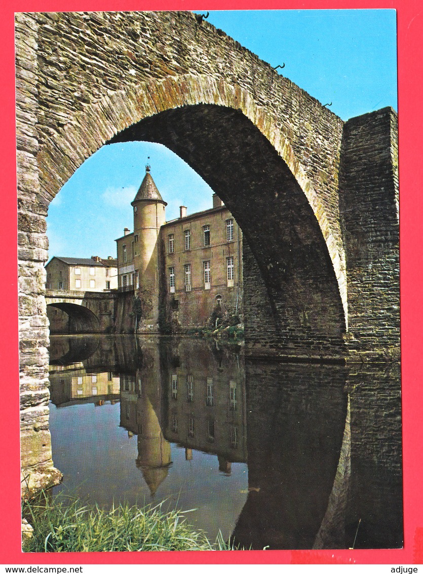 CPM- 81- BRASSAC - Vieux Pont Et Château - SUP ** 2 SCANS - Brassac