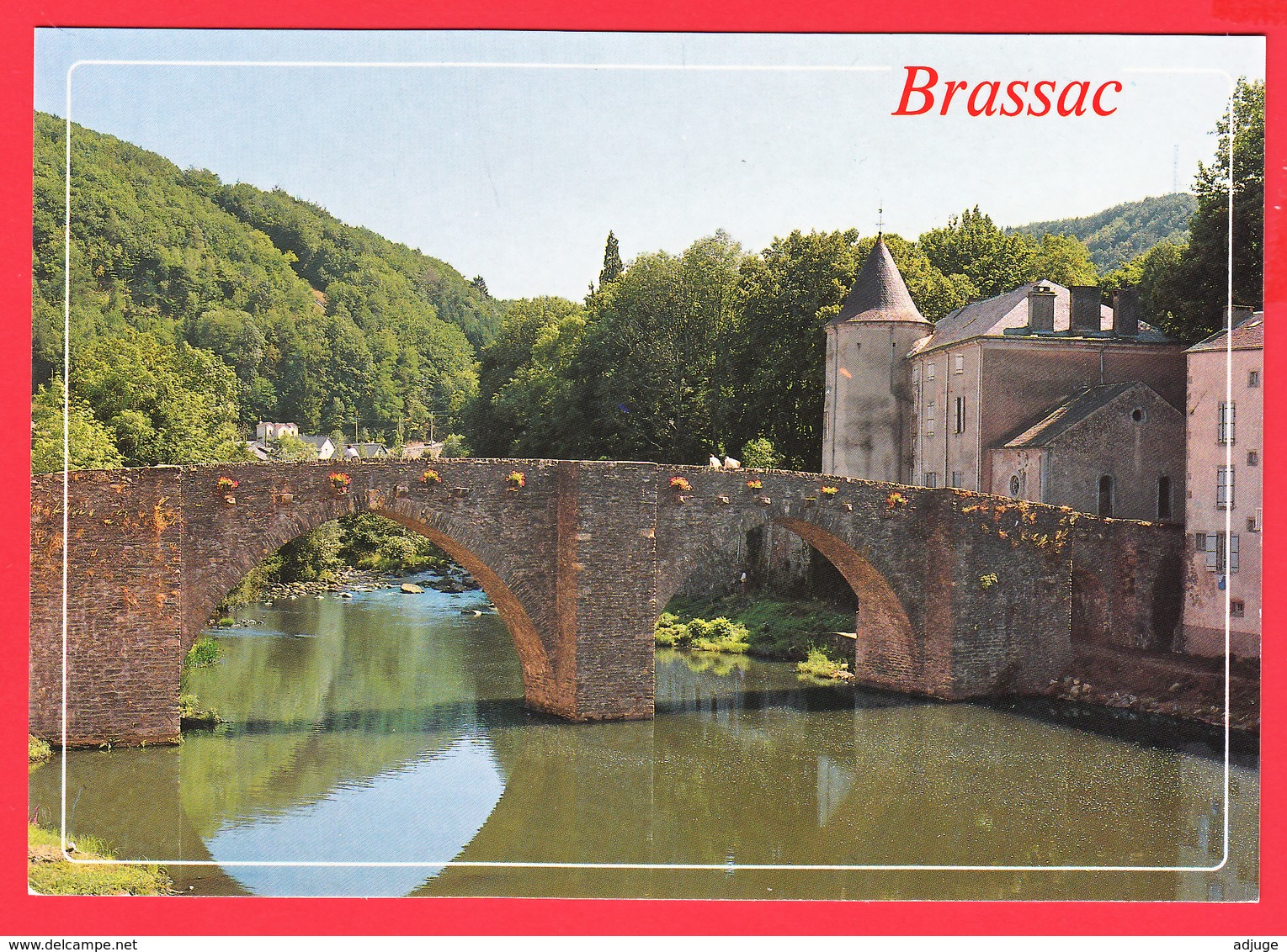 CPM- 81- BRASSAC-sur-AGOUT _ Vieux Pont Et Les Rives De L'Agout - SUP ** 2 SCANS - Brassac