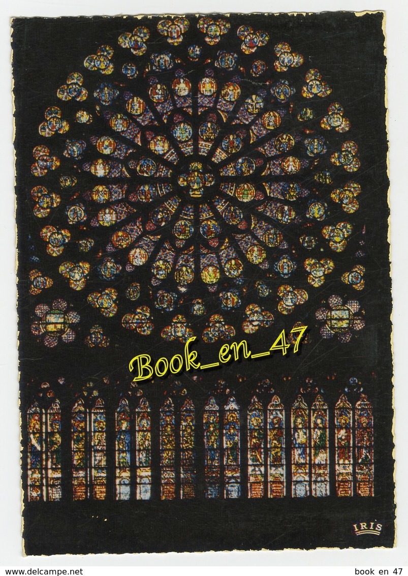 {78992} 75 Paris , Rosace Sud De Notre Dame - Notre-Dame De Paris