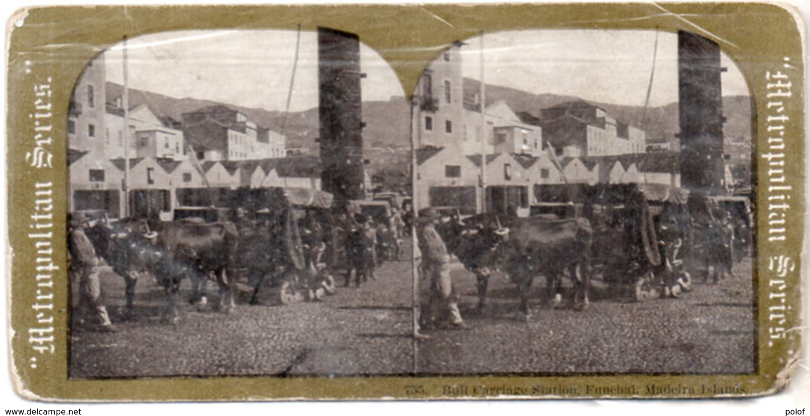 755 Bull Carriage Station Funéhai - Madeira - Islands - Métropolitan Séries   (111000) - Stereoscopic